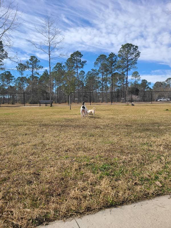 FETCH Park - Image 1