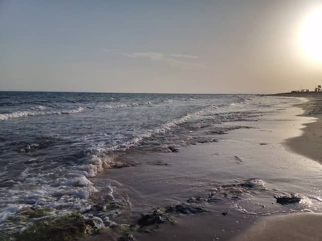 Hammamet Beach - Image 1