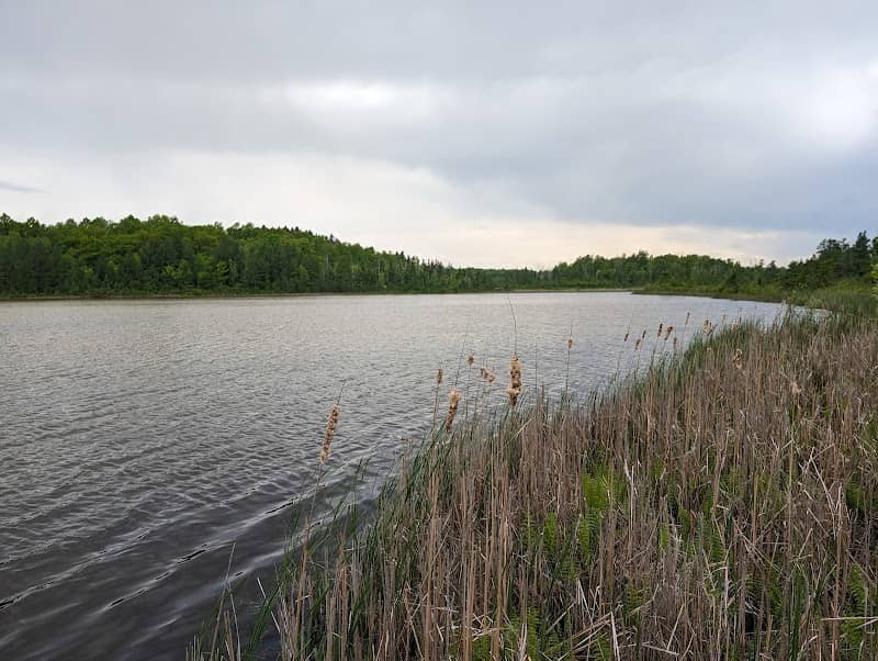 Spring Lake State Natural Area - Image 1
