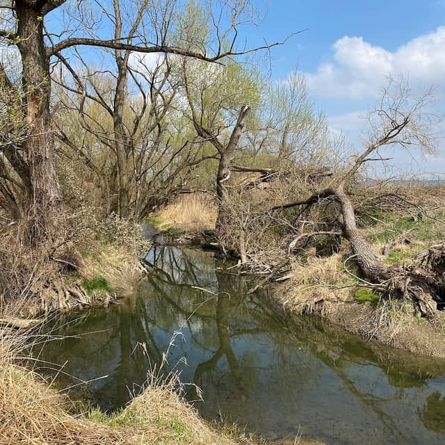 Ornitologická pozorovatelna u Nivničky - Image 1