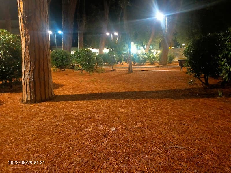 Piazza Giovanni Pellerano - Image 2
