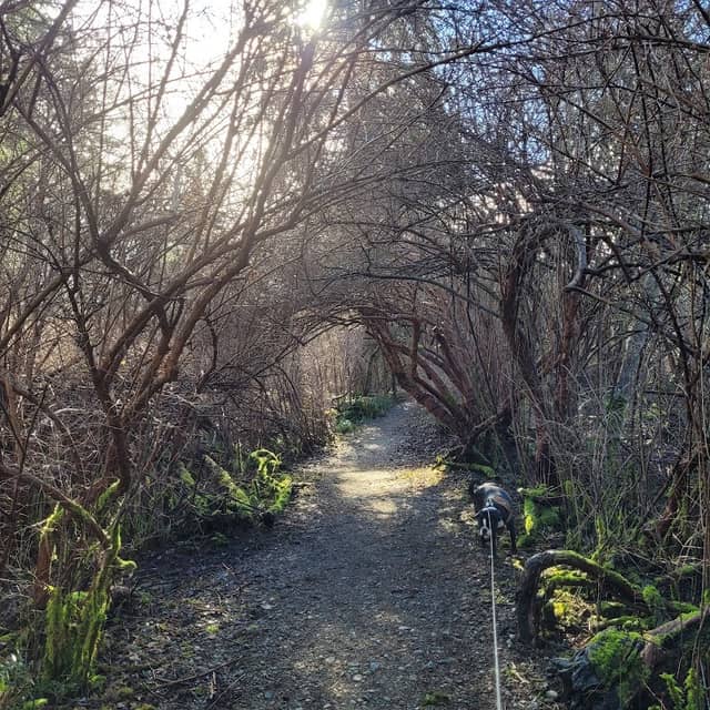 Salish Park - Image 1