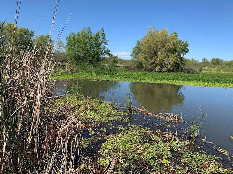 Base & Meridian Wildlife Area - Image 1