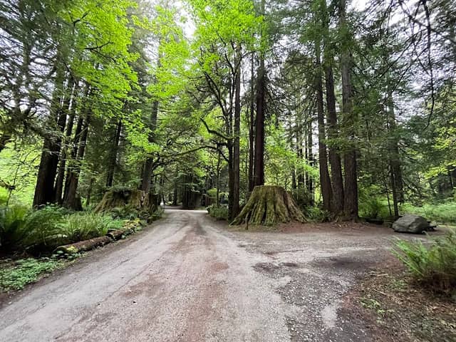 Mill Creek Campground - Image 2