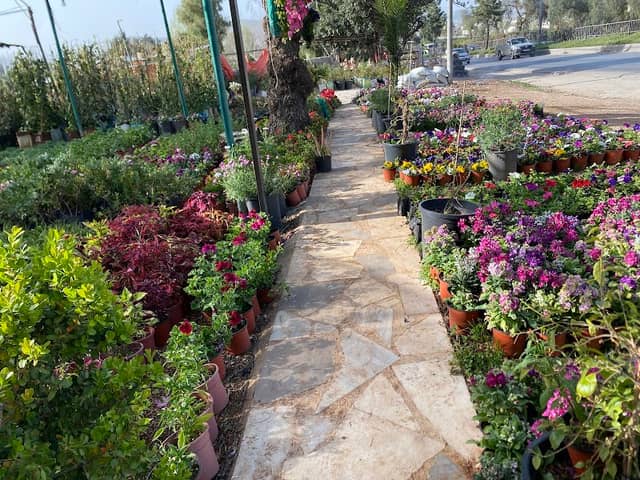 Green Gardens, مشاتل السبع الحدائق الخضراء - Image 2