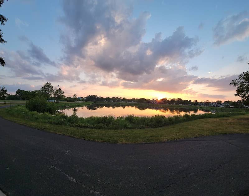Cambridge Country Park - Image 2