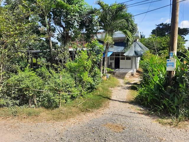 Quê Hương Là Chùm Khế Ngọt - Image 1