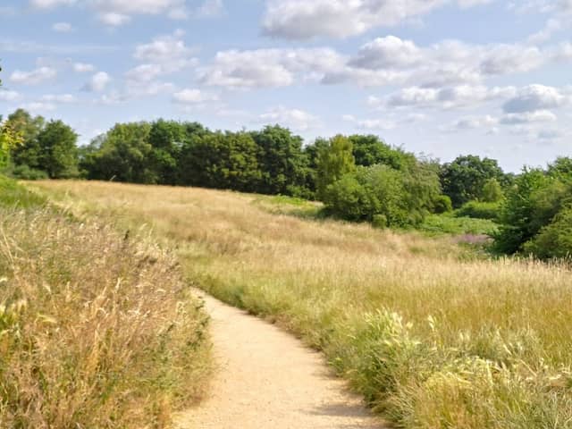 Rede Common Nature Reserve - Image 1
