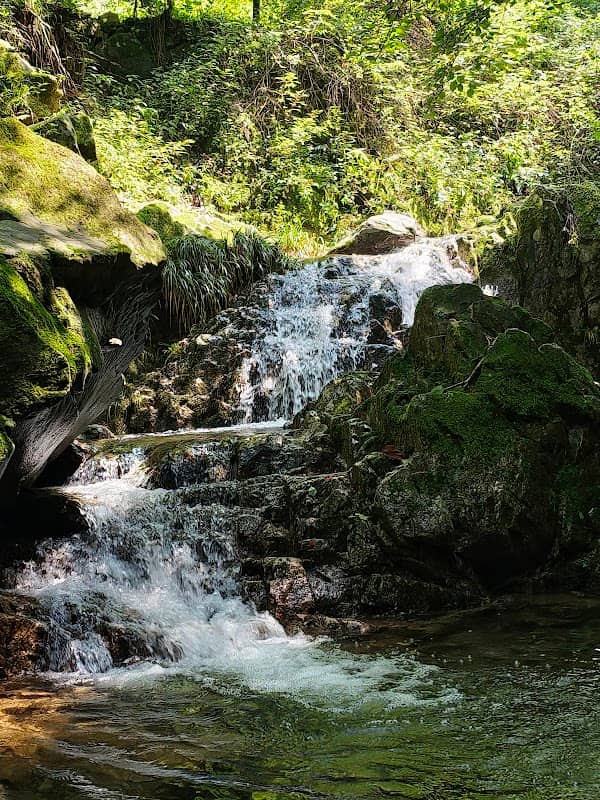 jungle waterfall - Image 1