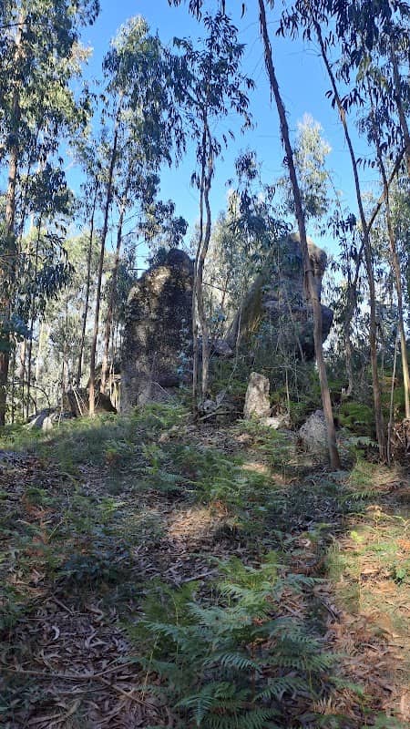 Penedo Dentes de Elefante - Image 1