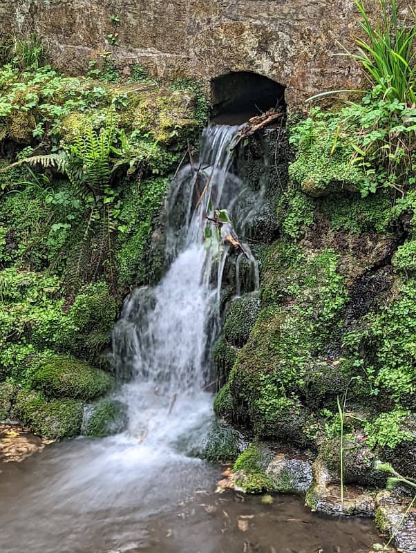 Yeovil Country Park - Image 2