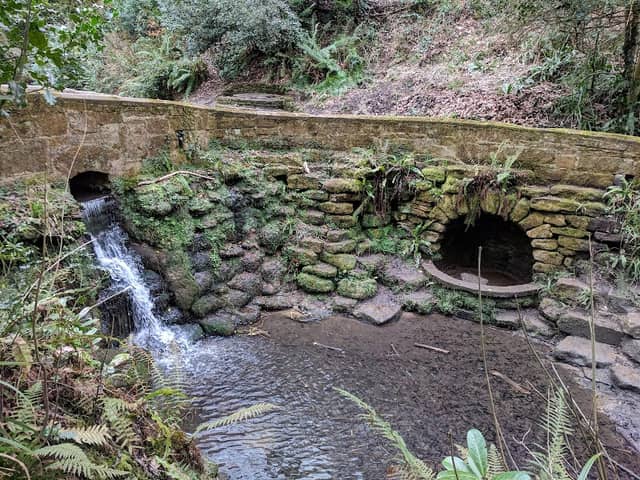 Yeovil Country Park - Image 1
