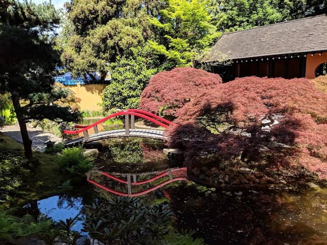 Park & Tilford Gardens - Image 2