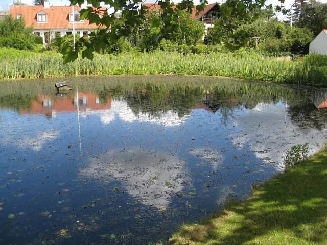 Befrielsessten i Ledøje - Image 1