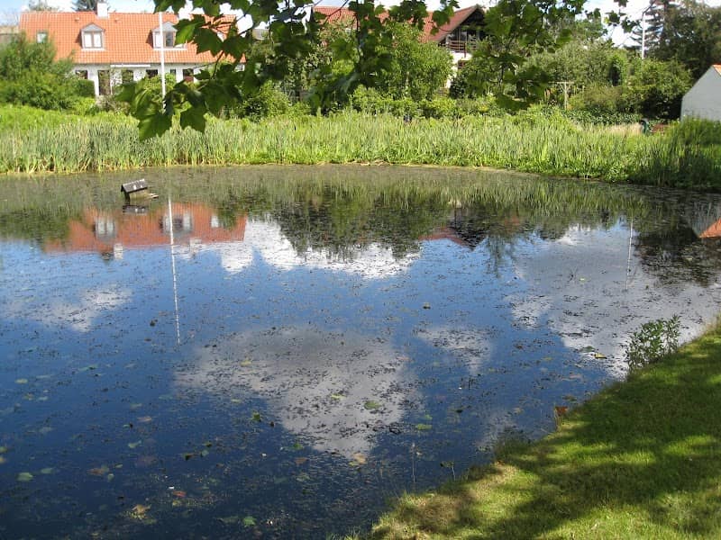 Befrielsessten i Ledøje - Image 1
