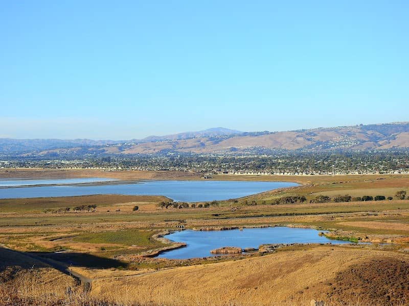 Coyote Hills Vista Point - Image 2