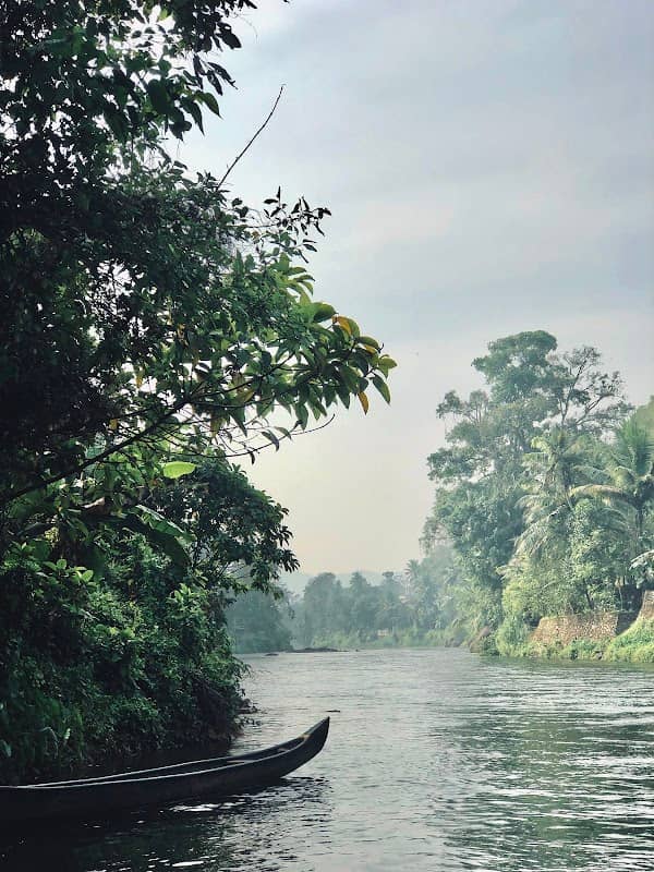 Thodupuzha River Viewpoint - Image 1