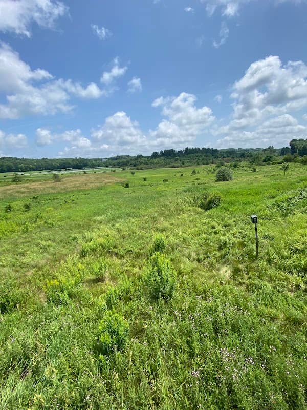 Pringle Wildlife Preserve - Image 1
