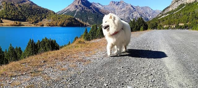 Laghi di Cancano - Image 1