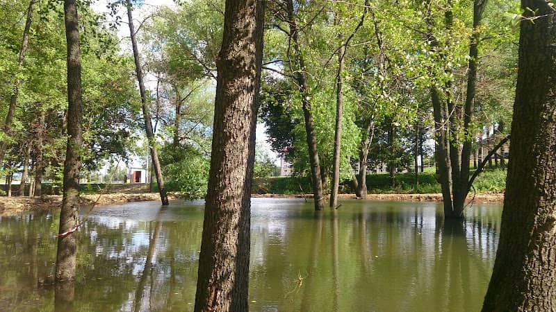 Park Kul'tury I Otdykha Im. Gor'kogo - Image 1