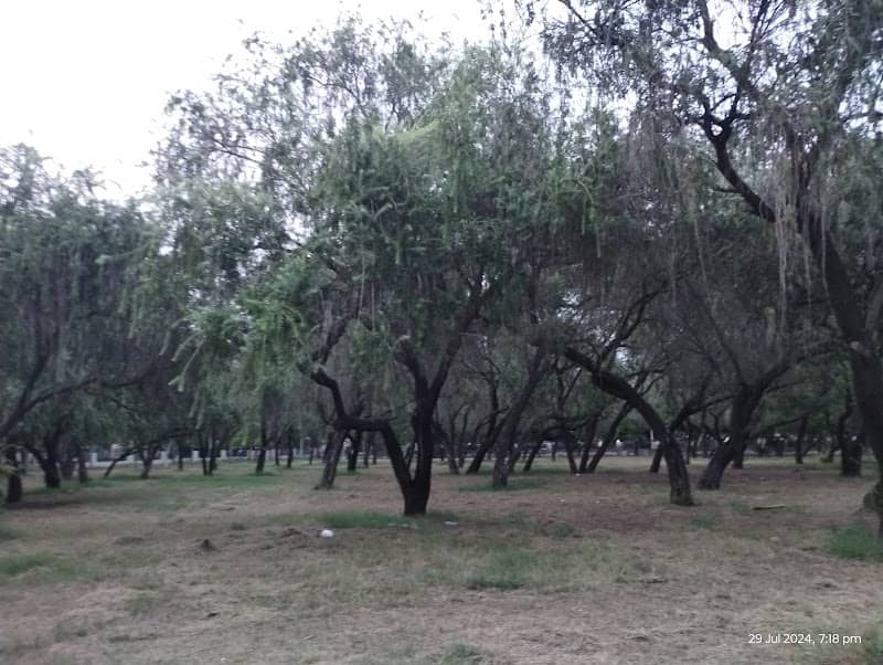 Children Park - Image 1