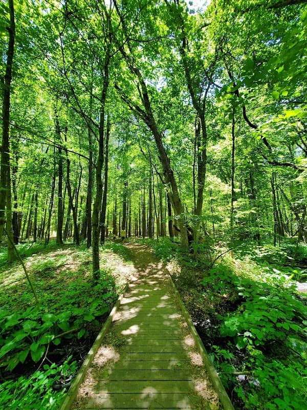 Oak Openings Preserve Metropark - Image 1