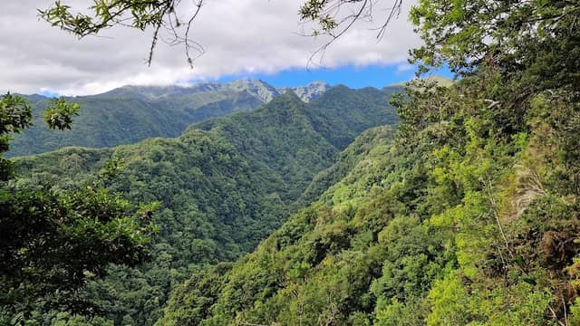 Levada da Silveira - Image 1