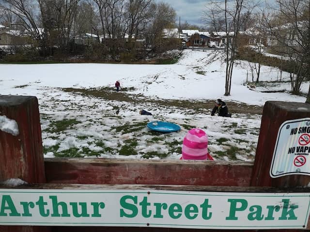 Arthur Street Park - Image 2