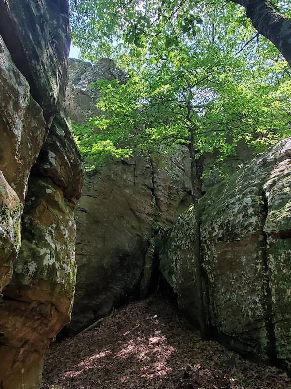 Buzzard Roost Scenic Area - Image 1