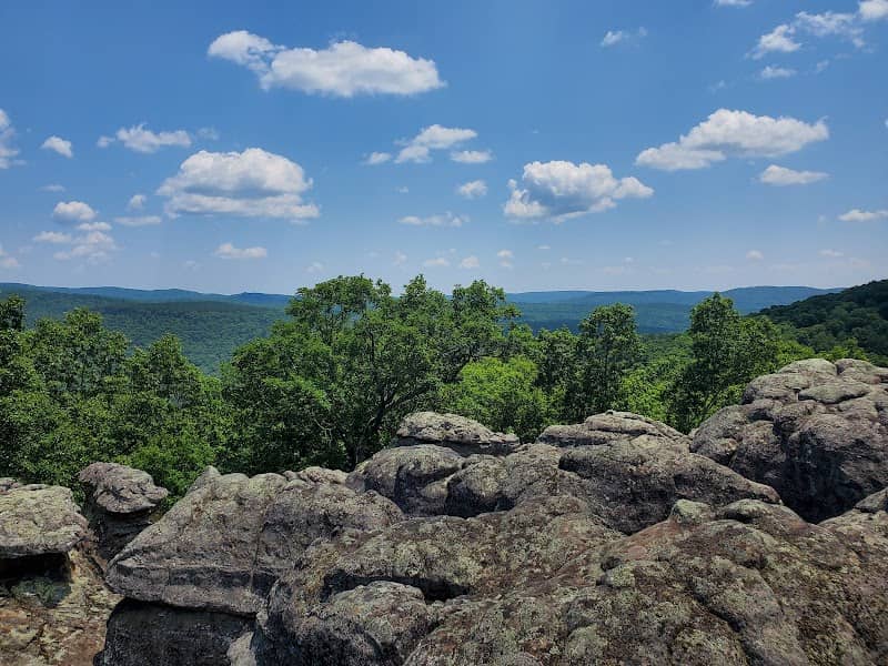 Buzzard Roost Scenic Area - Image 2