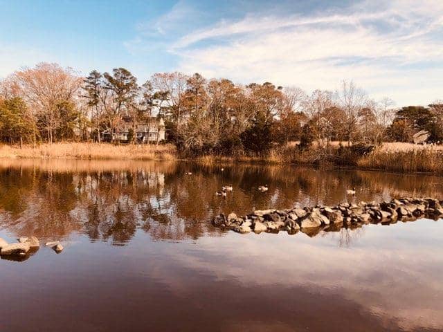 Turner Cove - Image 1