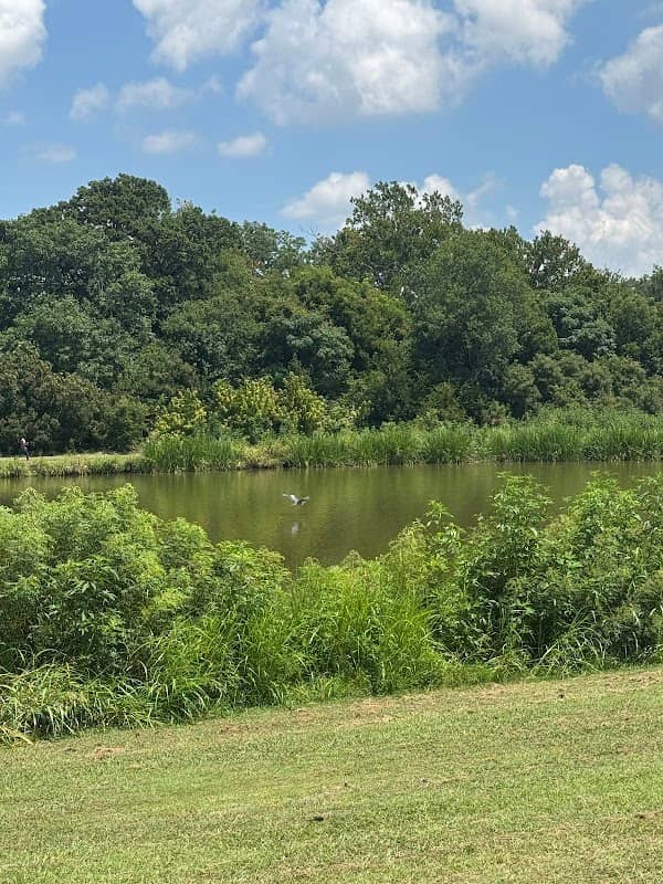 Richardson lake(fishing) - Image 2
