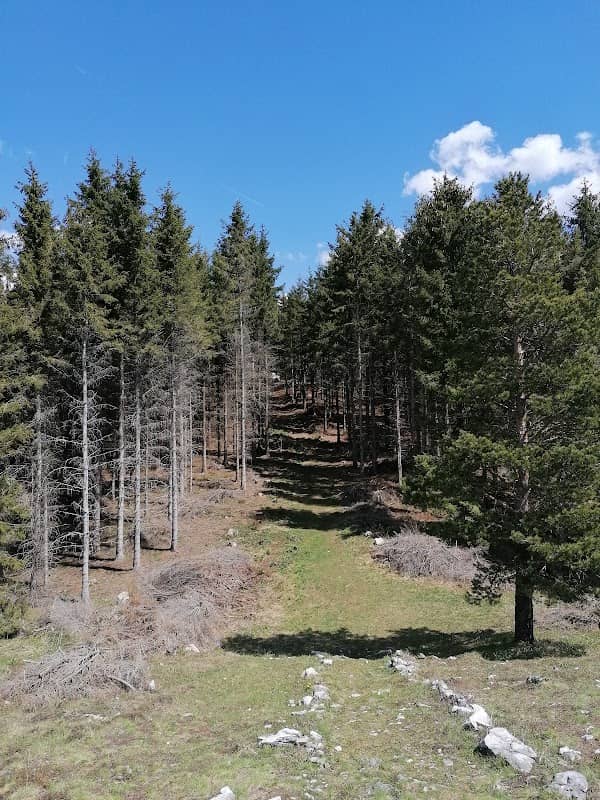 Видиковац Бобија - Image 2