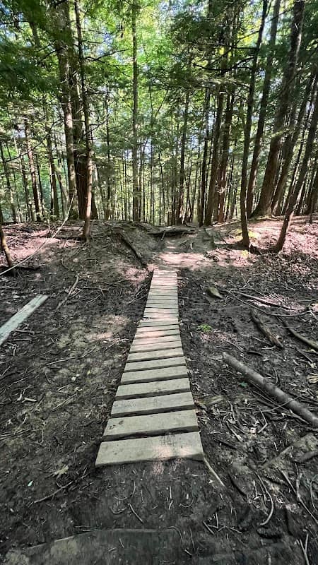 East Woods Natural Area - Image 2