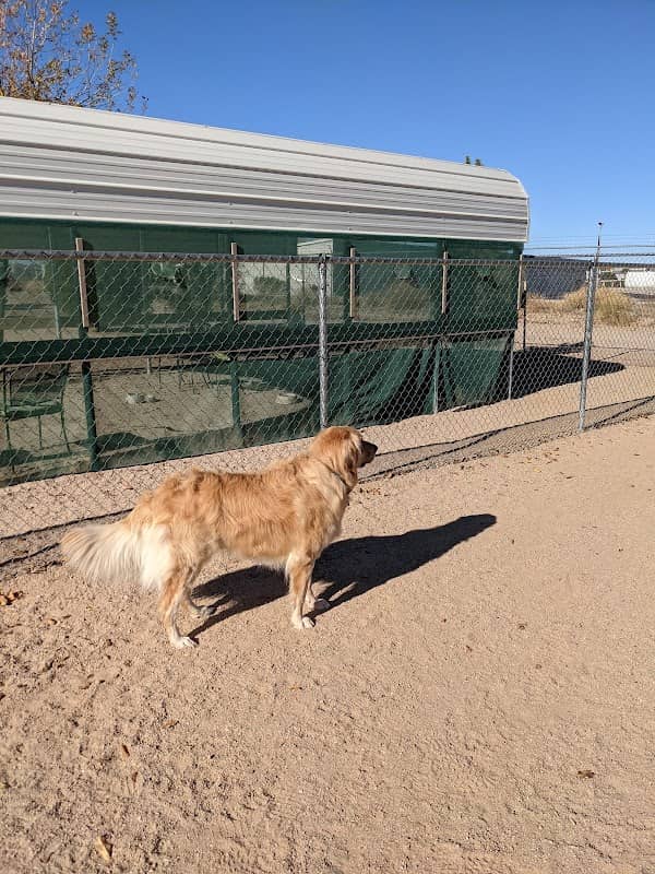 Wickenburg Dog Park - Image 1