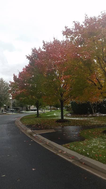 Ipava Greenway - Image 2