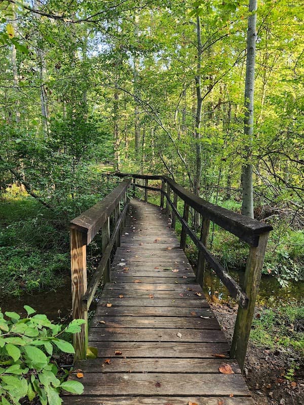 Chilhowee Campground - Image 2