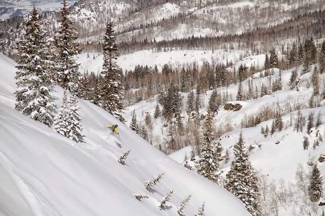 Steamboat Powdercats - Image 1