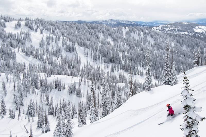 Steamboat Powdercats - Image 2