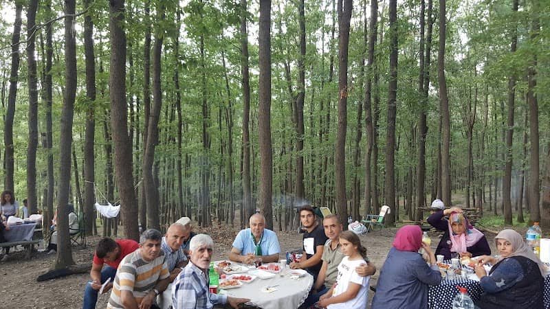Park - Image 1