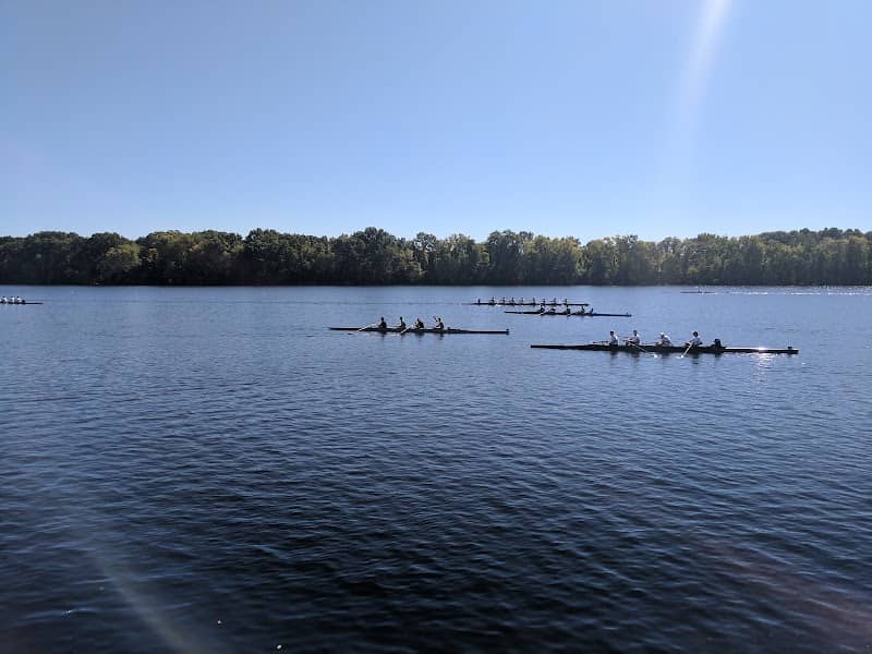 Regatta Festival Field - Image 2