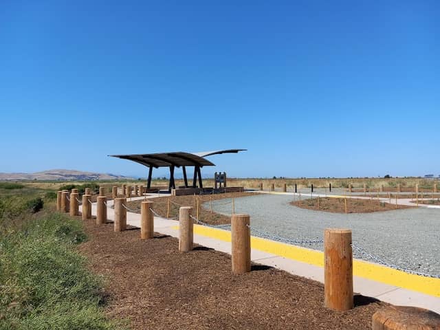 Pacheco Marsh - Image 2