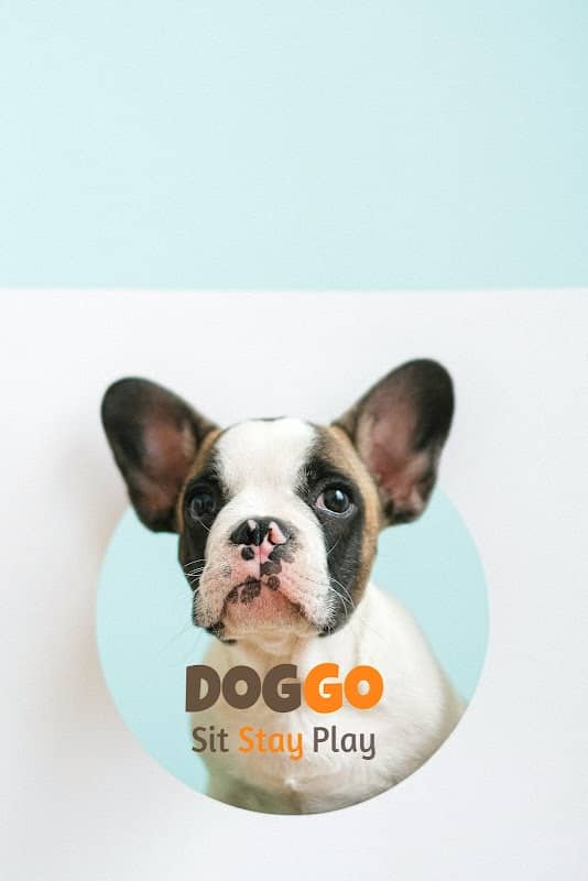 DOGGO Sit Stay Play - Image 2