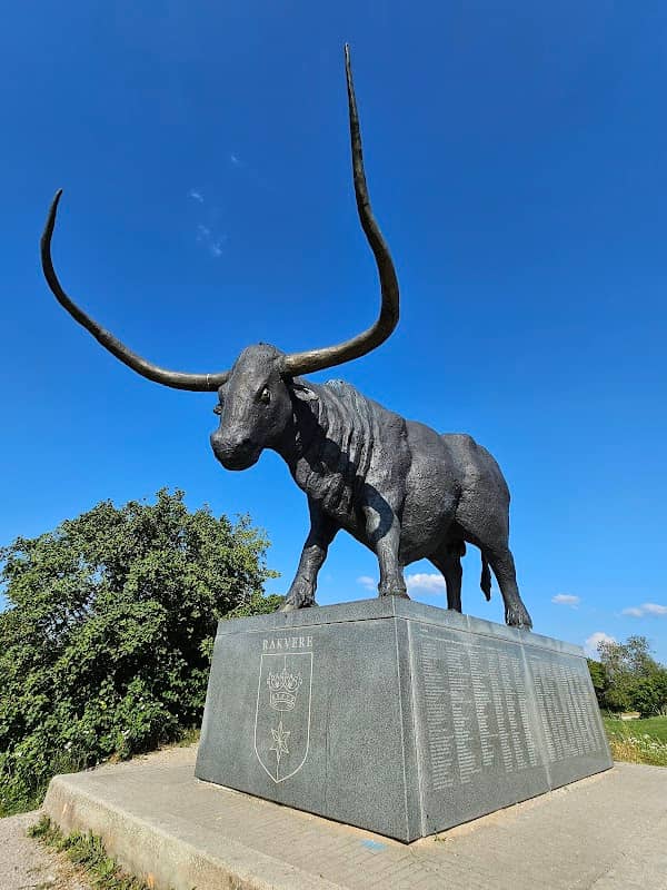 Rakvere - Image 1