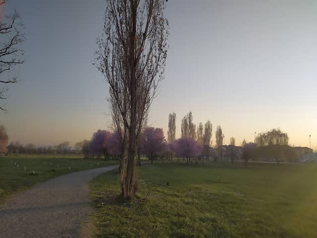 Parco Giuseppe (Peppino) Impastato - Image 1