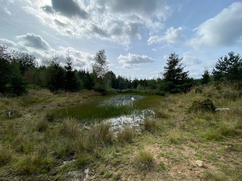 Awres Glow Nature Reserve - Image 2