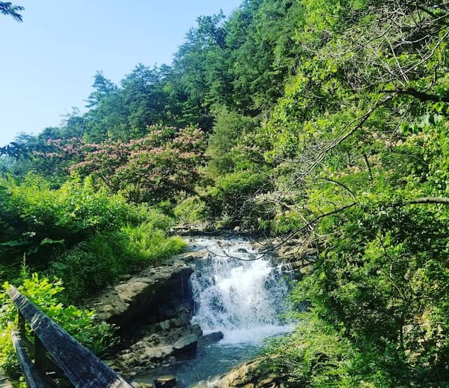 Steele Creek Park - Image 2