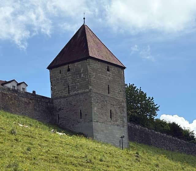 Tour du Sauvage - Image 2
