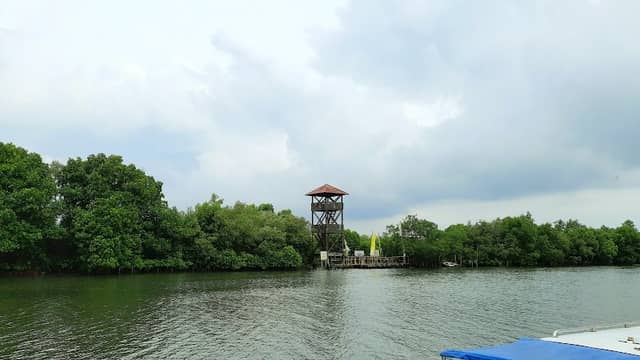 Eko Wisata Mangrove Jembatan Cinta, TarumaJy Bekasi, rno - Image 1