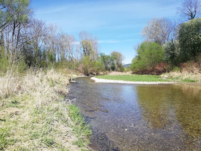 Katzelsdorfs Leithaau - Natura 2000 - Image 1